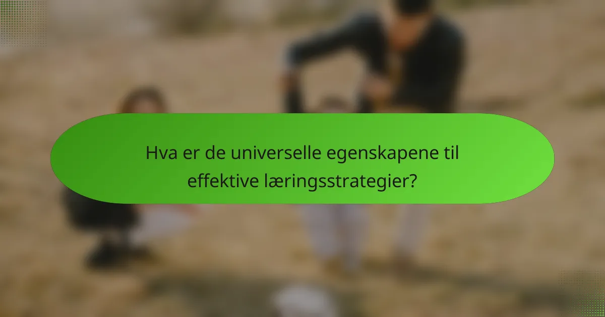 Hva er de universelle egenskapene til effektive læringsstrategier?
