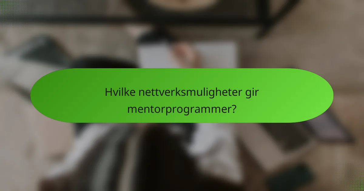 Hvilke nettverksmuligheter gir mentorprogrammer?